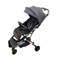 Carucior tip troller cu plasa insecte, 6-36 luni, Gri